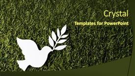  Presentation with white dove - Theme with close-up-of-white-dove background and a tawny brown colored foreground