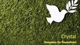  Presentation with white dove - Presentation theme with close-up-of-white-dove background and a tawny brown colored foreground