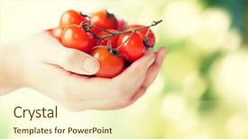  Presentation with healthy eating food photography - PPT theme featuring close up of woman hand background and a cream colored foreground