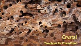  Presentation with wood texture - Slide deck featuring close up of wooden texture background and a tawny brown colored foreground