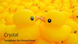 Presentation with rubber duck - Cool new PPT layouts with close up of yellow rubber duck backdrop and a gray colored foreground