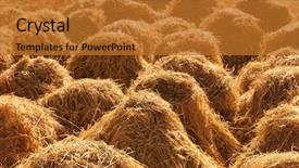  Presentation with rural india - Cool new theme with close up old traditional hay stacks rural scene in autumn at tsomoriri lake ladakh northern india backdrop and a gold colored foreground