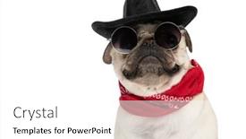  Presentation with cowboy hat - Slide deck enhanced with close-up-on-a-cowboy background and a white colored foreground