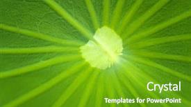  Presentation with green chemistry close up - Colorful PPT layouts enhanced with close up on a green backdrop and a tawny brown colored foreground