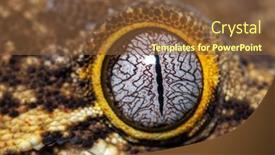  Presentation with reptile - Presentation enhanced with close-up-on-a-reptile background and a tawny brown colored foreground