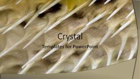  Presentation with skin - Audience pleasing slides consisting of yellow long-spine porcupinefish fish backdrop and a coral colored foreground