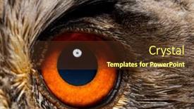  Presentation with eye - Presentation design enhanced with close-up-on-an-eye and a tawny brown colored foreground