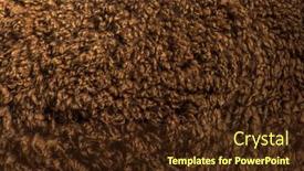  Presentation with brown - PPT layouts enhanced with close-up-on-dark-brown background and a tawny brown colored foreground
