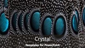  Presentation with peacock - Slides featuring close-up-on-eyespots background and a dark gray colored foreground