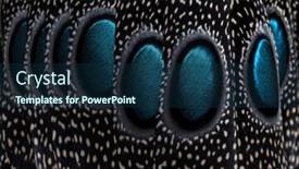  Presentation with peacock - Presentation with close-up-on-eyespots background and a navy blue colored foreground