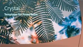  Presentation with palm leaves - Presentation theme consisting of close-up-on-green-leaves background and a ocean colored foreground