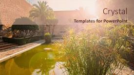  Presentation with papyrus - Slide deck featuring close-up-on-papyrus background and a lemonade colored foreground