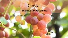  Presentation with vine - PPT theme featuring close-up on red grapes on vine background and a coral colored foreground