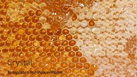  Presentation with frame - Slide deck featuring close-up-on-the-honeycombs background and a gold colored foreground