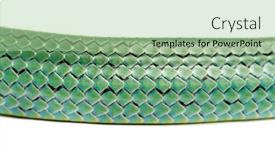  Presentation with rat - Audience pleasing slide deck consisting of close-up-on-the-rhino backdrop and a mint green colored foreground