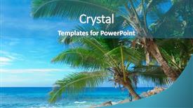  Presentation with jungle - Slides enhanced with close-up palms jungle background and a teal colored foreground