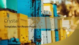  Presentation with hovering - Presentation consisting of close-up-photo-of-bees background and a gold colored foreground