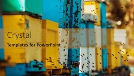  Presentation with hovering - PPT theme with close-up-photo-of-bees background and a gold colored foreground