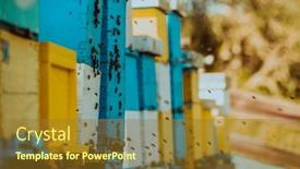  Presentation with hovering - Presentation design featuring close-up-photo-of-bees background and a tawny brown colored foreground