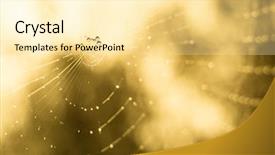  Presentation with forest morning - Audience pleasing slide deck consisting of close up photo of cobweb backdrop and a blonde colored foreground