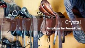  Presentation with horse - Amazing slide set having close-up-photo-of-horse backdrop and a tawny brown colored foreground