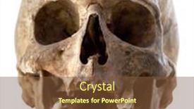  Presentation with skull - Beautiful PPT theme featuring close-up-photo-of-human backdrop and a tawny brown colored foreground