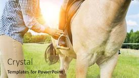  Presentation with photo - Audience pleasing slide deck consisting of close-up-photo-of-mature backdrop and a yellow colored foreground