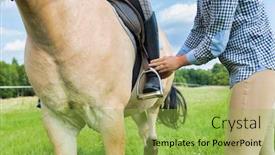  Presentation with photo - Slide deck having close-up-photo-of-mature background and a yellow colored foreground