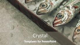  Presentation with heads - Slide deck featuring close-up-picture-of-seabass background and a gray colored foreground