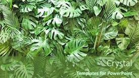  Presentation with monsters - Beautiful PPT theme featuring close-up-pile-of-leaves backdrop and a tawny brown colored foreground