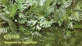  Presentation with monsters - Audience pleasing presentation consisting of close-up-pile-of-leaves backdrop and a tawny brown colored foreground