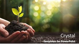 Presentation with plant ecology - Presentation theme with close-up-plant-in-female background and a tawny brown colored foreground