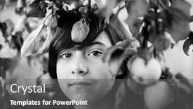  Presentation with orchard - Amazing theme having close-up-portrait-of-teen backdrop and a gray colored foreground