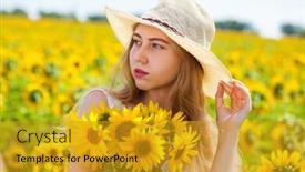  Presentation with sunflowers - PPT theme featuring close up portrait of a young beautiful girl in a field of sunflowers background and a gold colored foreground