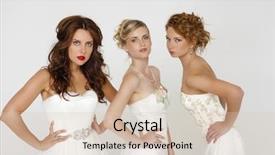  Presentation with white wedding - Slide deck consisting of close up portrait of a three beautiful woman in wedding dress isolated over white background background and a lemonade colored foreground