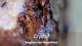 Presentation with pine - Slide set having close up resin background and a tawny brown colored foreground