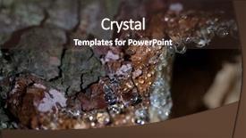  Presentation with pine - Beautiful slide deck featuring close up resin backdrop and a tawny brown colored foreground