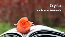  Presentation with book - Beautiful theme featuring close-up-rose-and-book backdrop and a tawny brown colored foreground