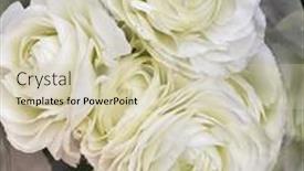  Presentation with floral - Presentation theme enhanced with close-up-selective-focus-bright background and a soft green colored foreground