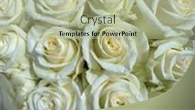  Presentation with floral - Theme featuring close-up-selective-focus-bright background and a mint green colored foreground