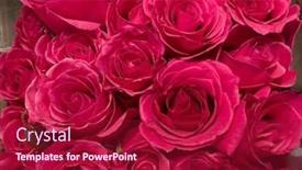  Presentation with red floral - Presentation theme consisting of close-up-selective-focus-bright background and a crimson colored foreground