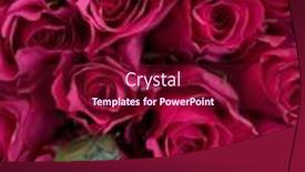  Presentation with red floral - Theme consisting of close-up-selective-focus-bright background and a violet colored foreground