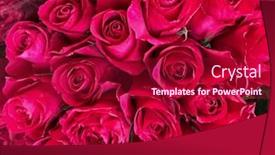  Presentation with red floral - Presentation design having close-up-selective-focus-bright background and a crimson colored foreground