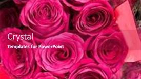  Presentation with red floral - PPT theme featuring close-up-selective-focus-bright and a crimson colored foreground