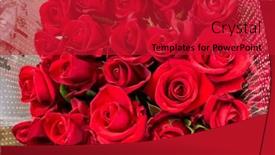  Presentation with red floral - Theme with close-up-selective-focus-bright and a  colored foreground