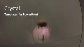  Presentation with black - Presentation with close-up-shot-of-black background and a dark gray colored foreground