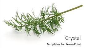  Presentation with green leaves - Beautiful PPT theme featuring close-up-shot-of-branch backdrop and a white colored foreground