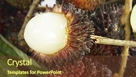  Presentation with buah - Audience pleasing PPT theme consisting of close up shot of buah backdrop and a tawny brown colored foreground