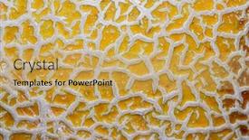  Presentation with skin - Cool new presentation design with close-up-shot-of-cantaloupe backdrop and a yellow colored foreground