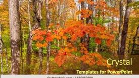  Presentation with maple leaves - PPT layouts consisting of close-up-shot-of-colorful background and a tawny brown colored foreground
